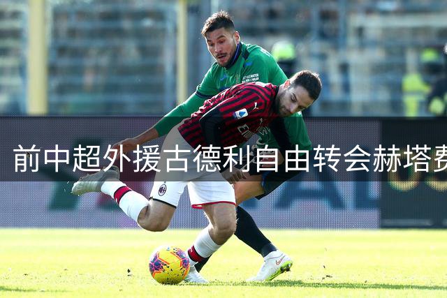 前中超外援古德利自由转会赫塔费 曾助塞维利亚两夺欧联